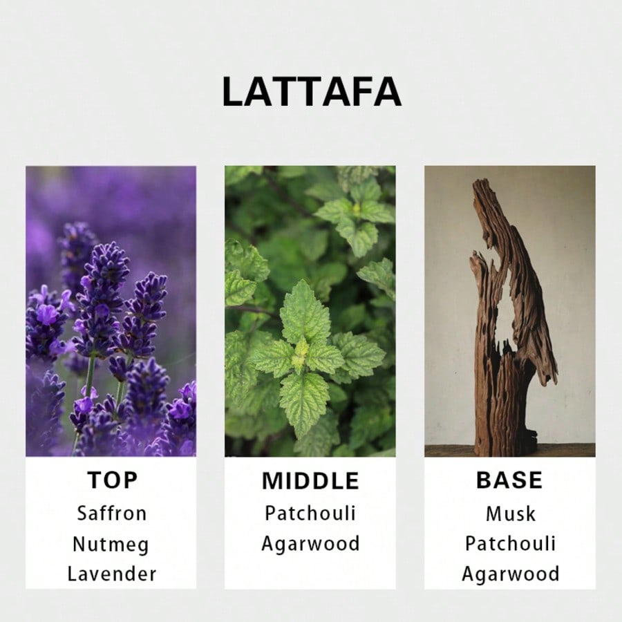Lattafa Badee Al Oud For Glory - đánh giá và giá Perfume For Fragrance