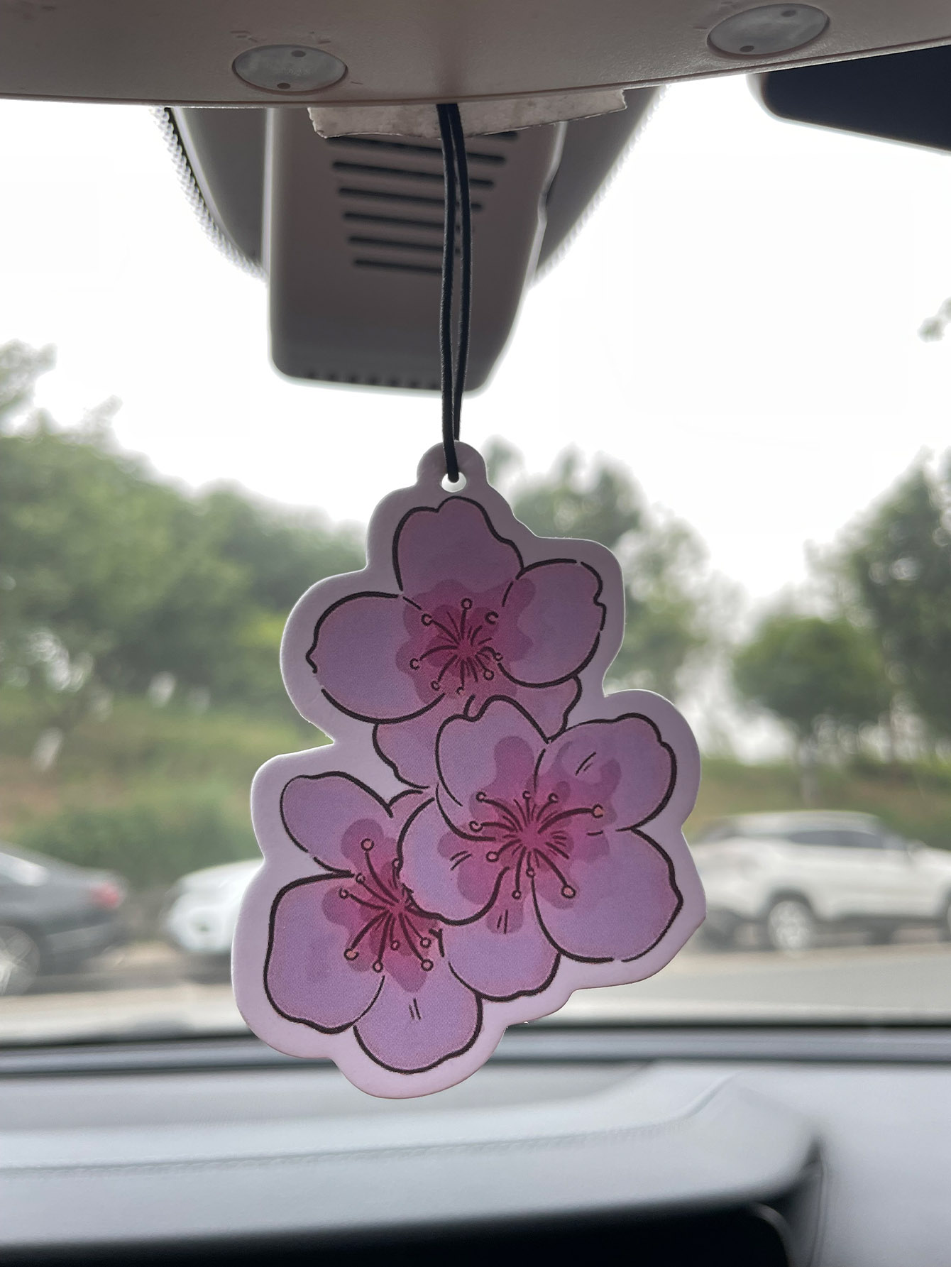 Sakura/Freesia Fresh Scent Fiv - đánh giá và giá Perfume Room Fragrance