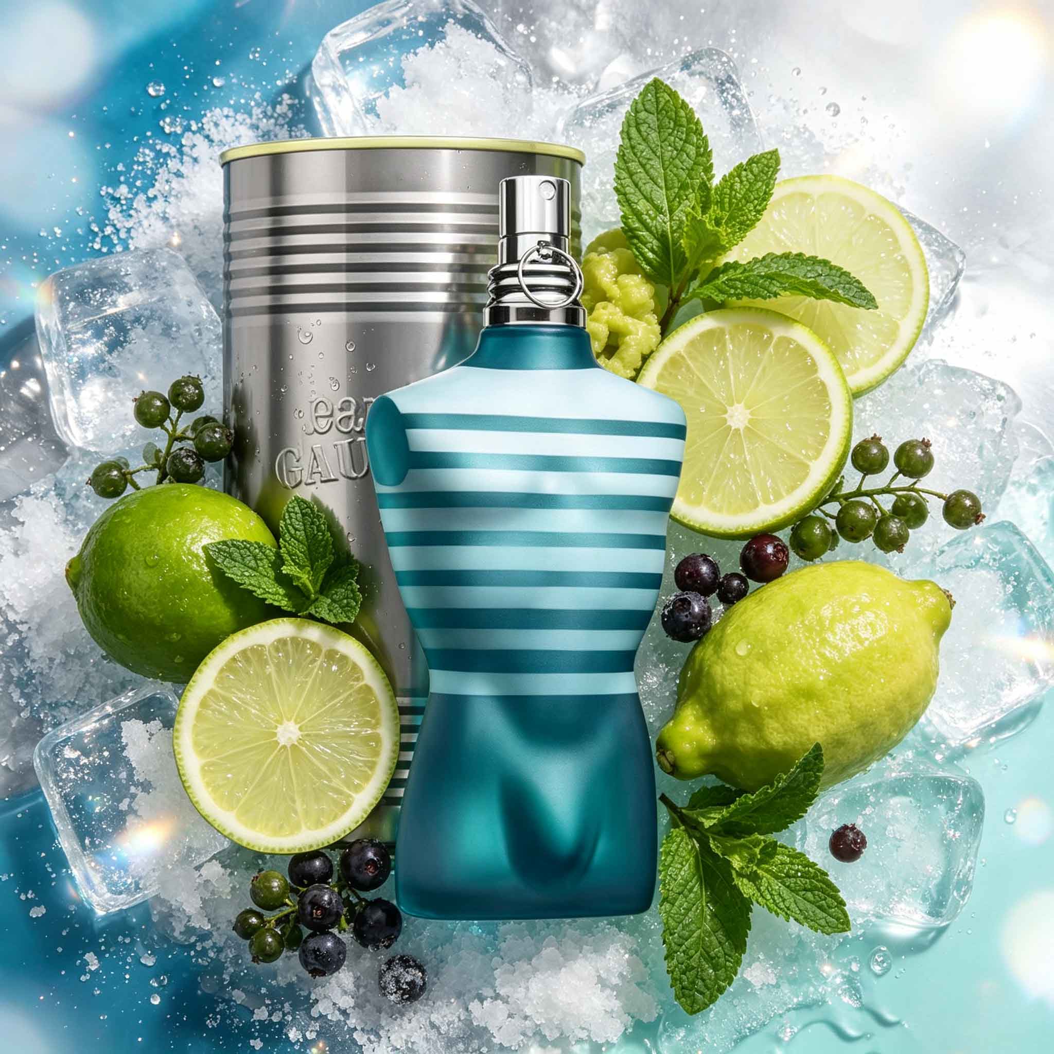 Jean Paul Gaultier Le Male Own - đánh giá và giá Perfume Fragrance Jean Paul Gaultier Le Male